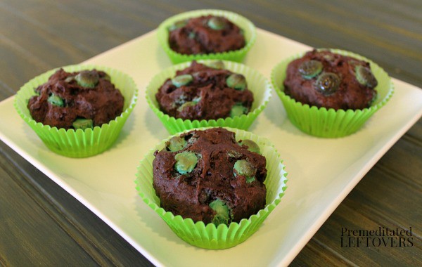 Golden Cloud - Choc Mint Flavoured Muffin Mix 1kg